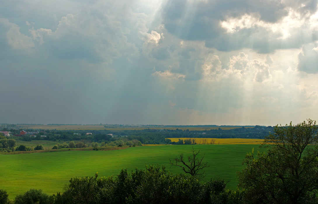 photo "***" tags: landscape, meadow, summer, sun, sunflowers, воронежская область, лучи