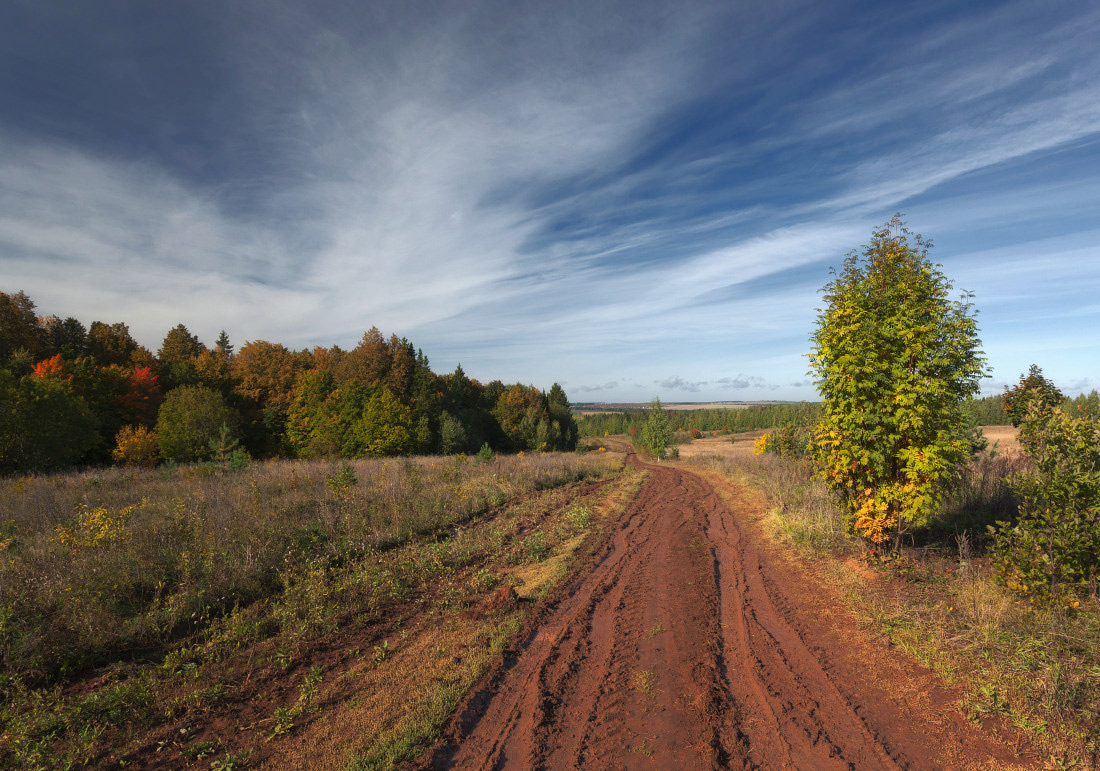 фото "Дорога в начало осени" метки: пейзаж, дерево, дорога, колея, краски, лес, облака, осень