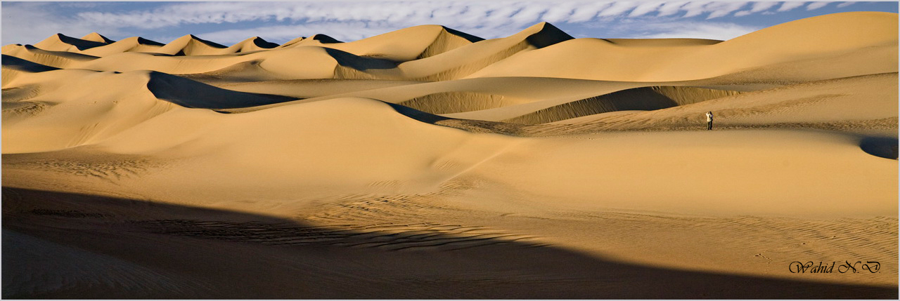 фото "Amidst the Dunes" метки: пейзаж, Sand, Африка, пустыня