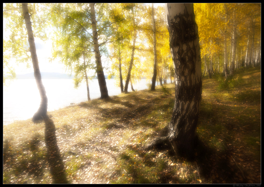 photo "0182_0001_monocle" tags: landscape, autumn, forest, lake