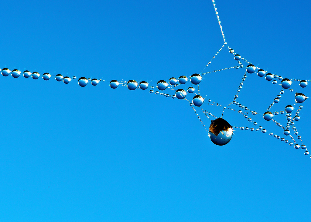 photo "Natural diamond necklace" tags: macro and close-up, fragment, 