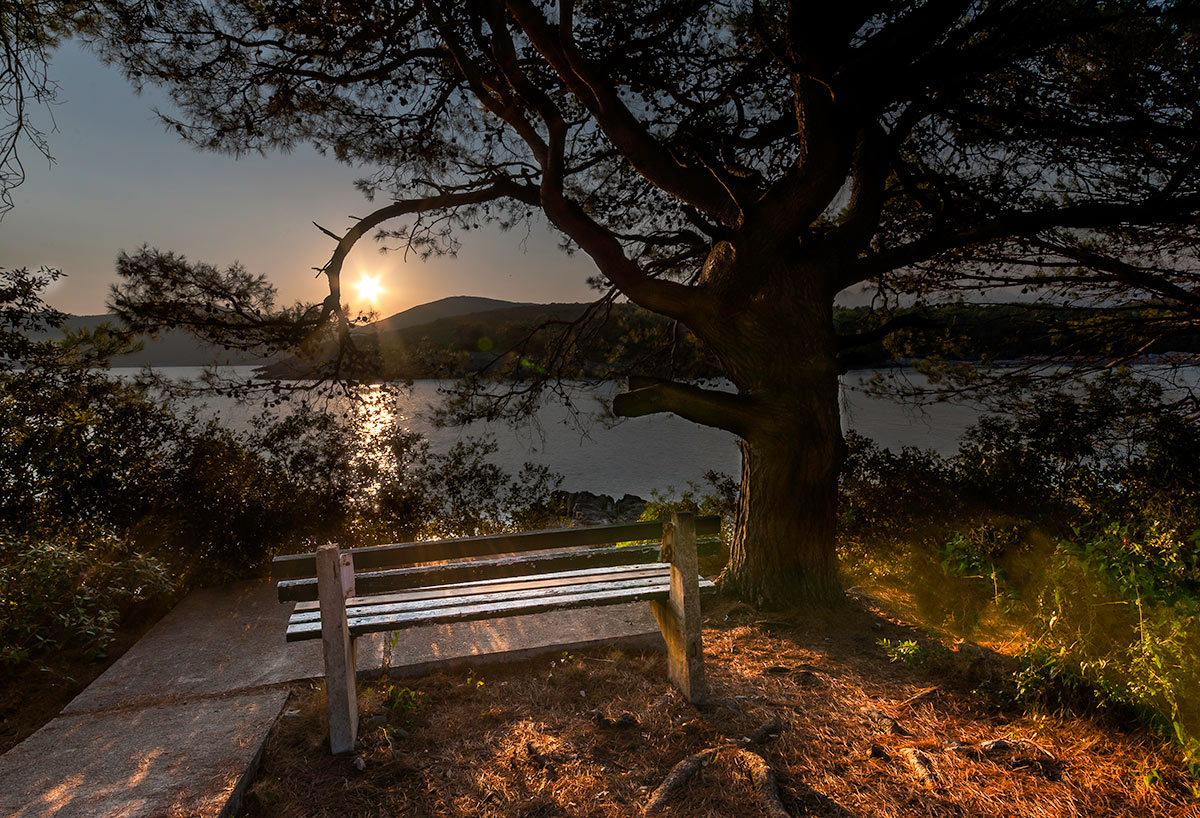 фото "Summer fairy-tale" метки: пейзаж, путешествия, backlight, bench, holiday, seascape, vacation, view, Европа, вода, дерево, закат, лето, море, пляж