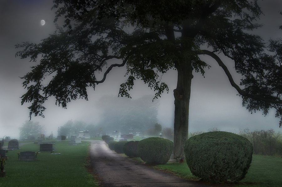 photo "***" tags: landscape, 
