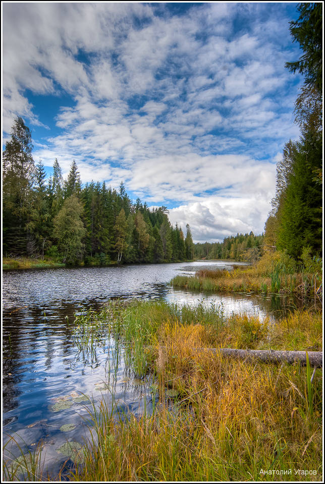 фото "***" метки: пейзаж, природа, лес, облака, осень, река