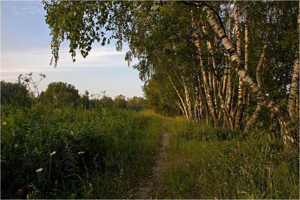 photo "***" tags: landscape, summer