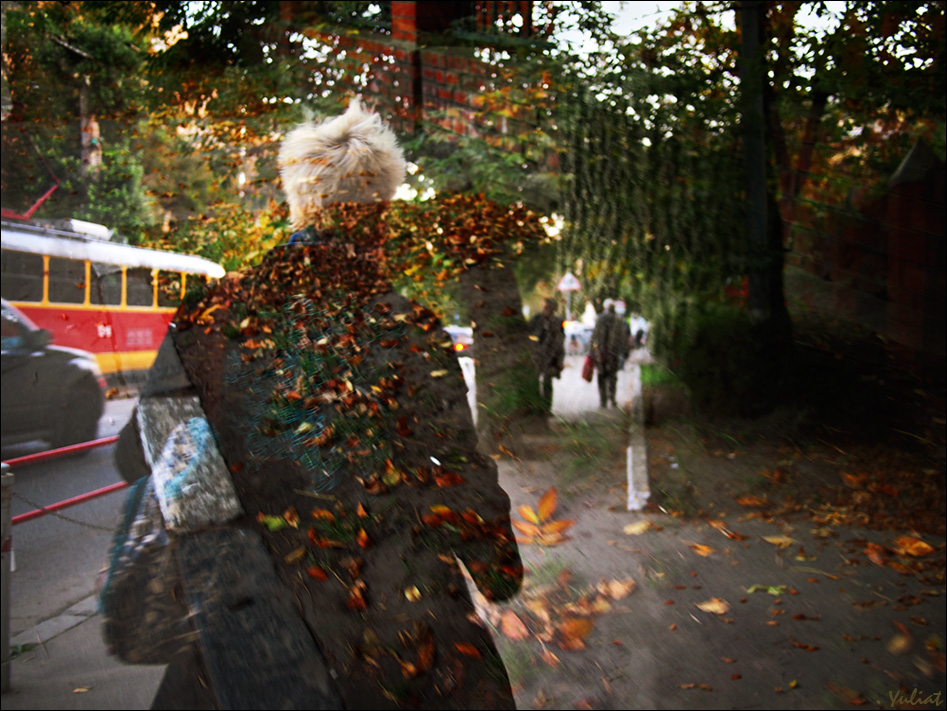 photo "***" tags: city, genre, 