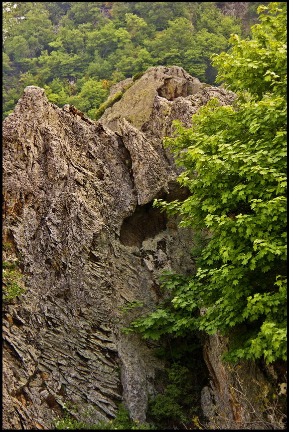 photo "***" tags: landscape, forest, mountains, rocks
