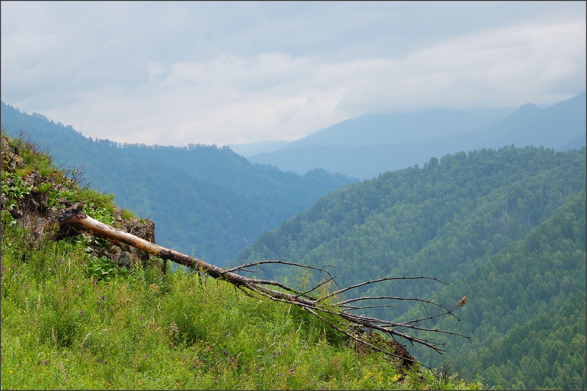 photo "On the edge" tags: landscape, mountains, summer