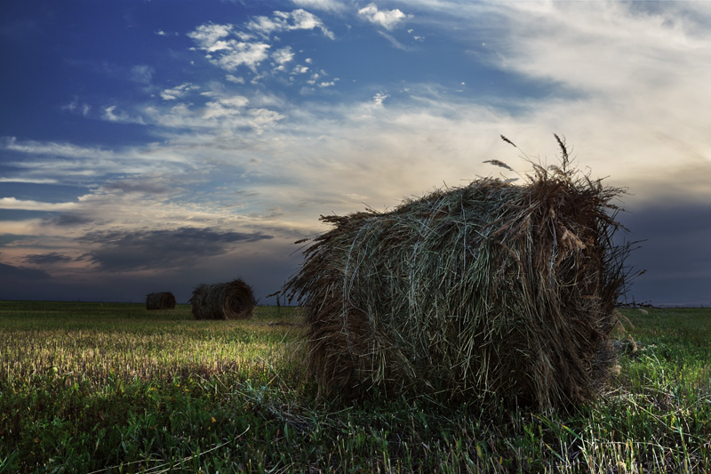 photo "Felt a wave" tags: landscape, 