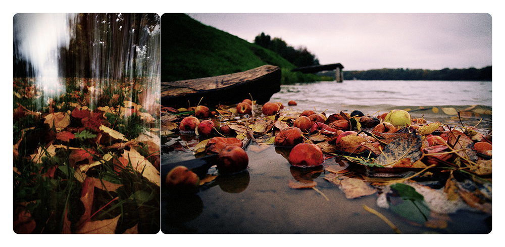 photo "***" tags: landscape, autumn, water, листва, яблоки