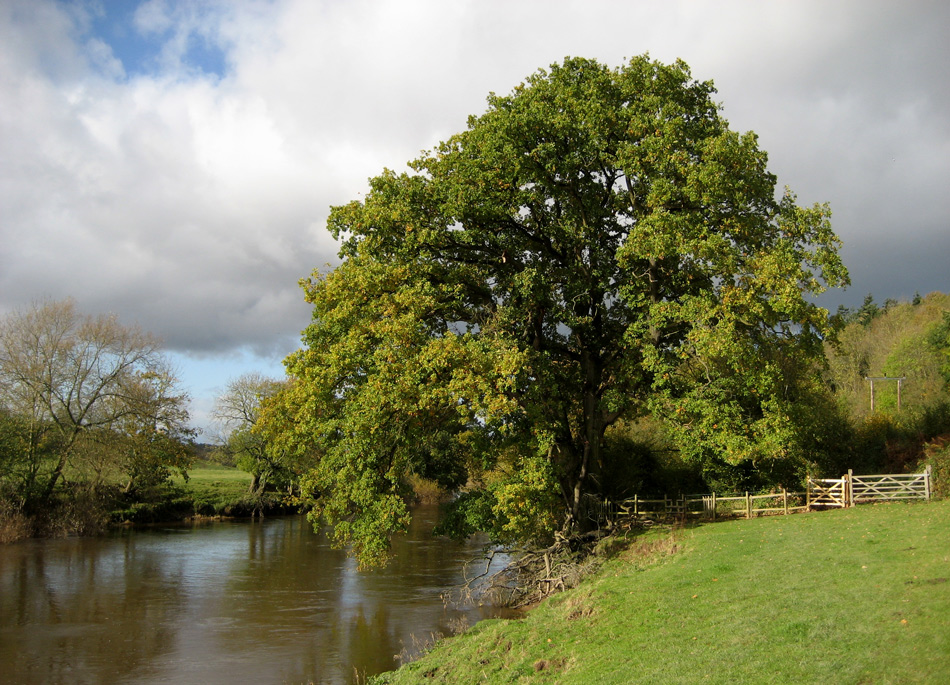 photo "***" tags: landscape, autumn