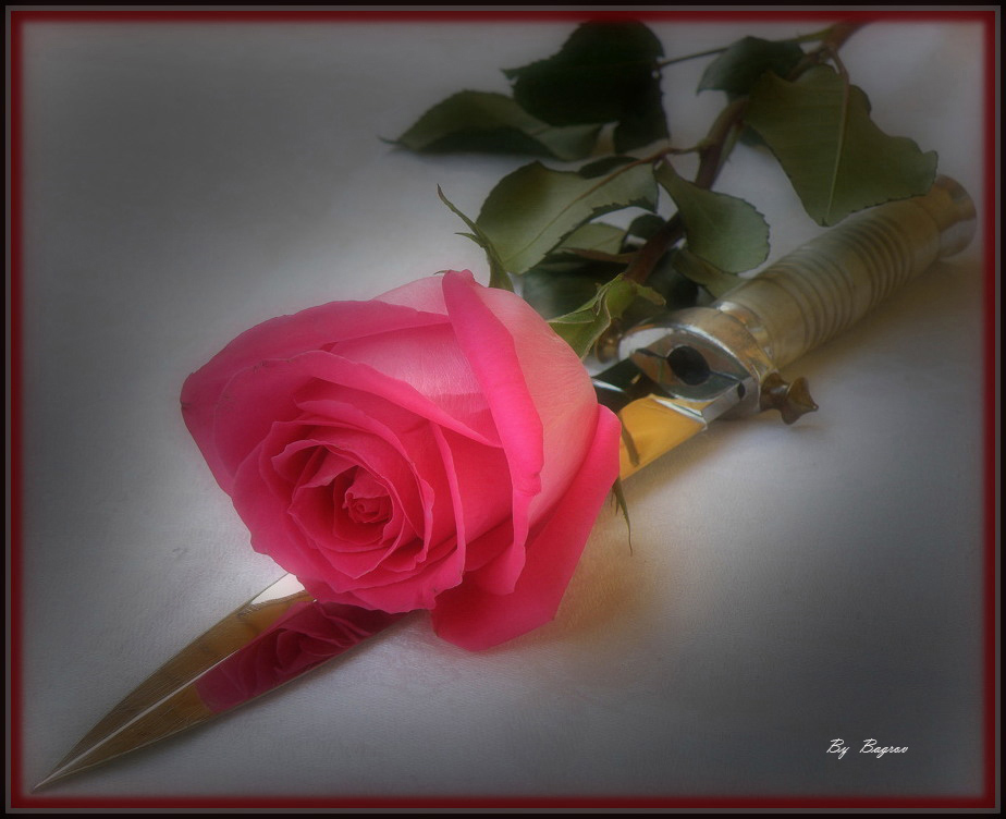 photo "***" tags: still life, 