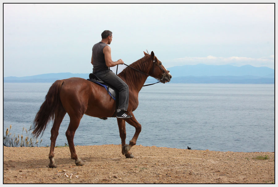 photo "***" tags: landscape, nature, genre, man, pets/farm animals, sea, summer