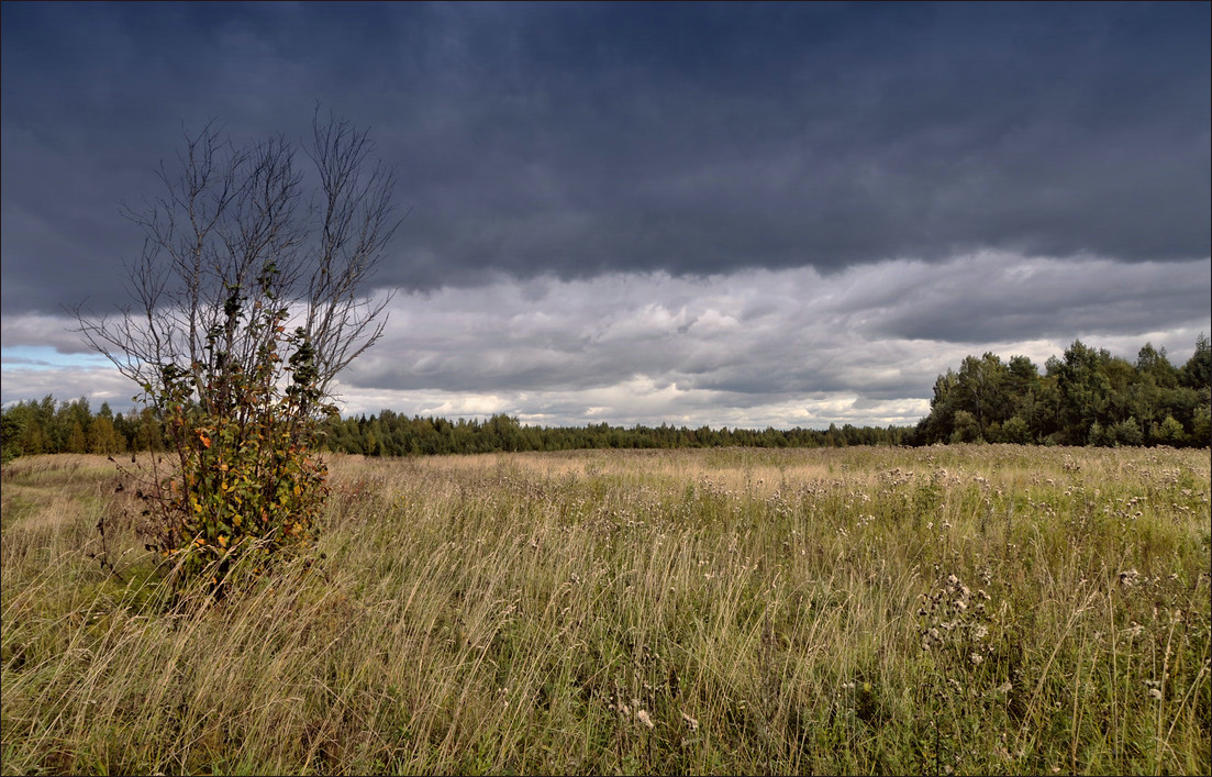 фото "9 вал осенней непогоды" метки: пейзаж, осень, поле