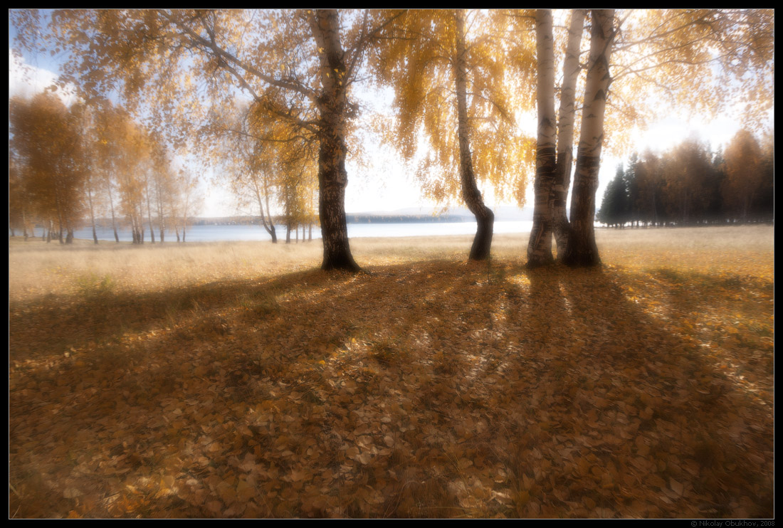 photo "Fall / 0189_0183_monocle" tags: landscape, autumn, forest