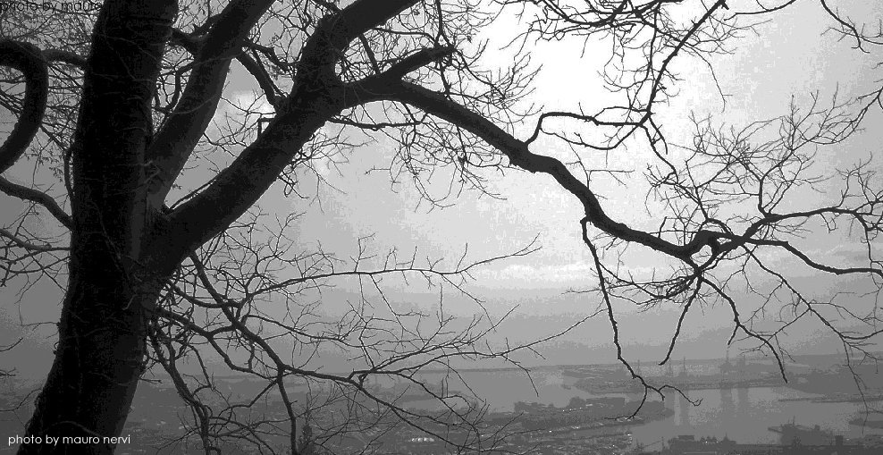 photo "watching Genoa from the hill" tags: landscape, 