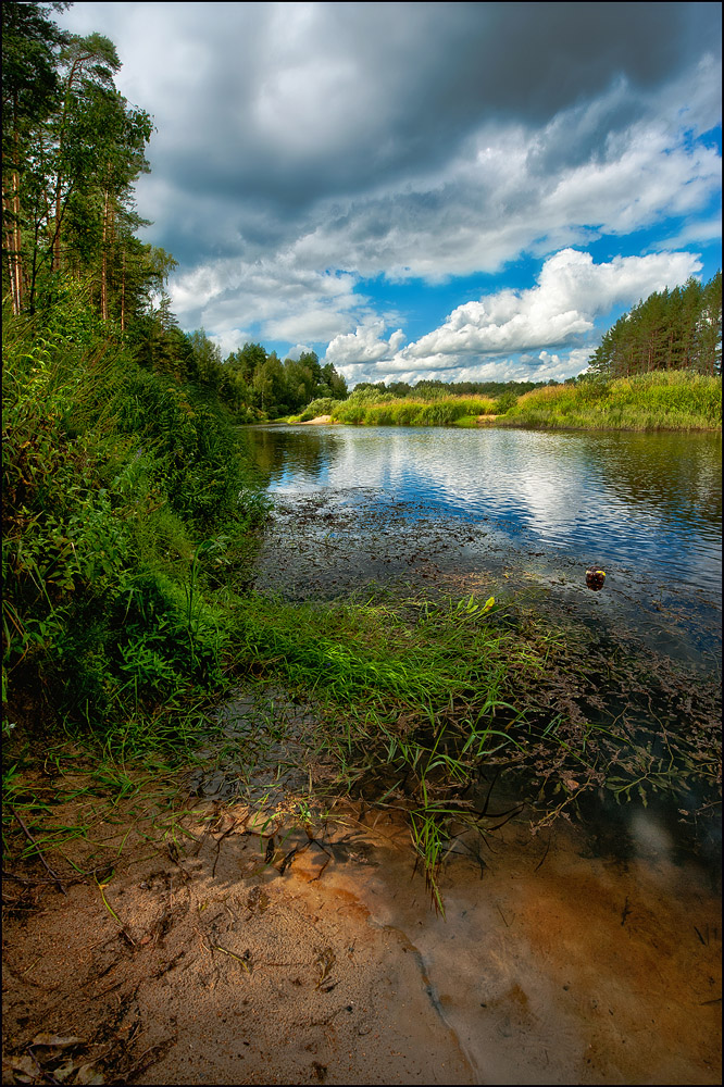 фото "Летний день...." метки: пейзаж, природа, вода, дерево, лес, лето, облака, река