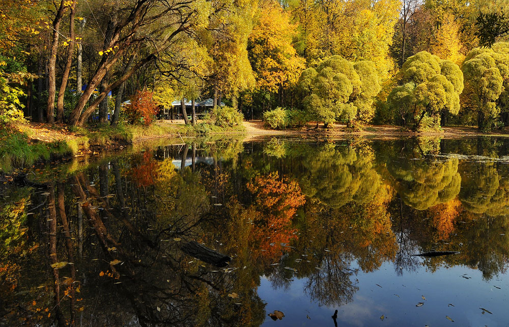 photo "***" tags: landscape, nature, autumn, forest, pond, tree