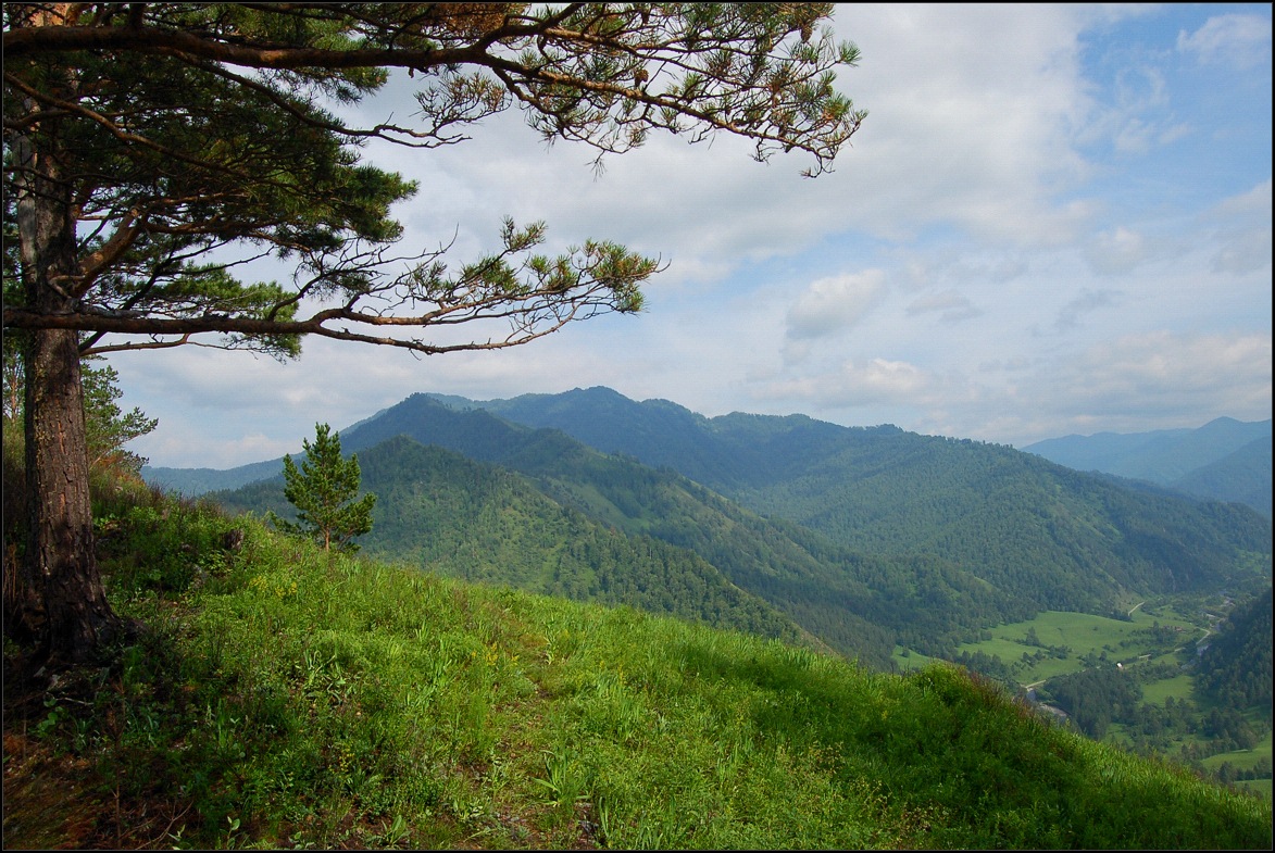 photo "View on Erlagol" tags: landscape, forest, mountains, summer