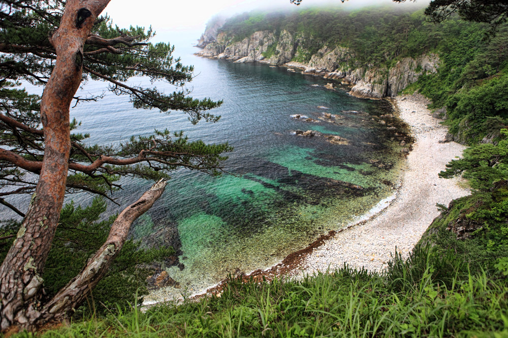 фото "Дальневосточный Морской Заповедник" метки: пейзаж, путешествия, 