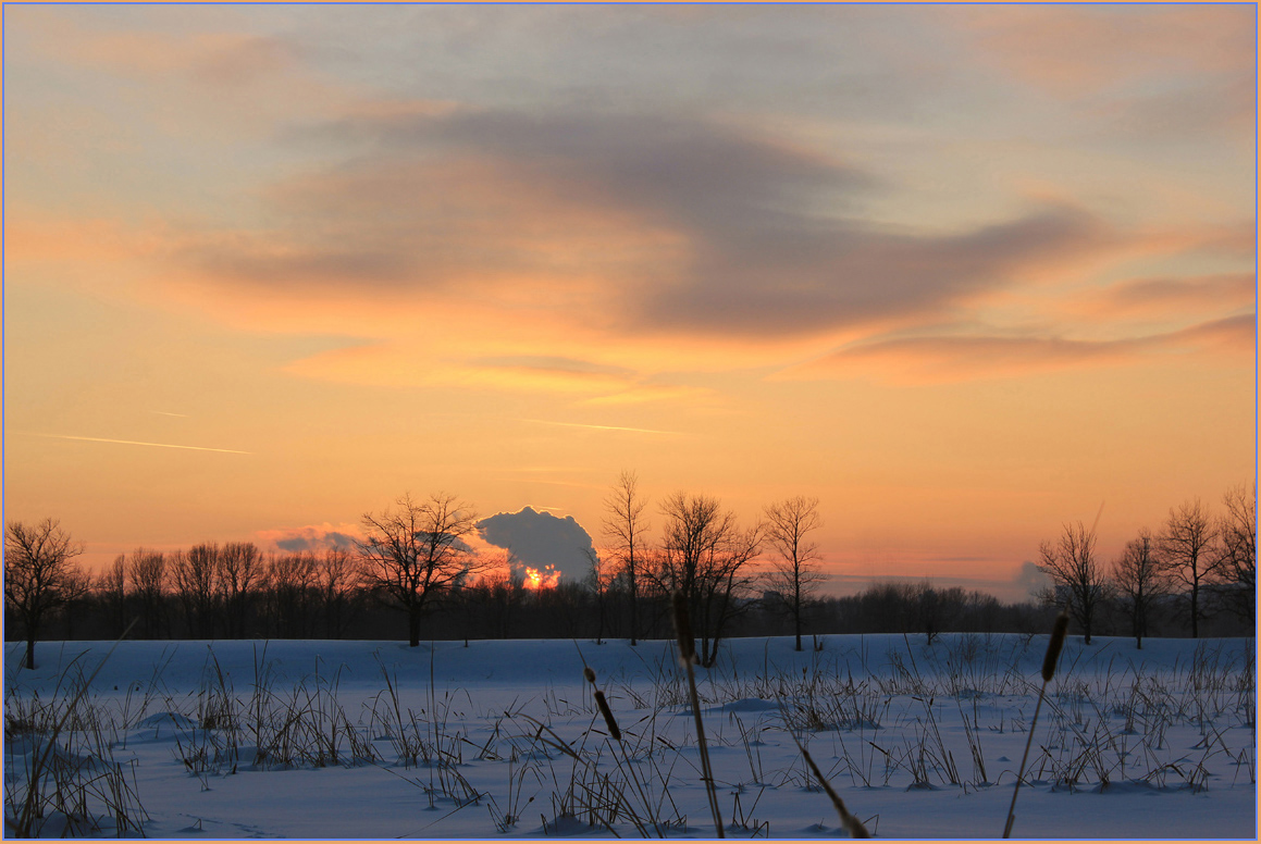 photo "At sunset." tags: landscape, clouds, forest, sunset, winter, февраль