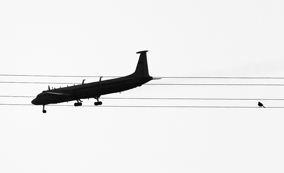 photo "Birds on wires" tags: nature, technics, black&white, sky, минимализм, провода, птица, самолёт