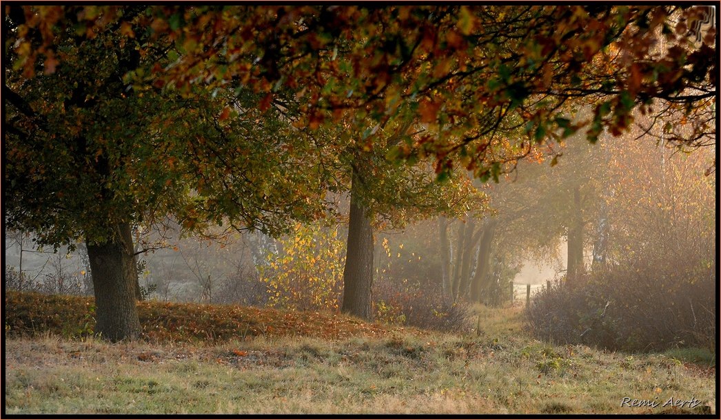 photo "***" tags: landscape, nature, 