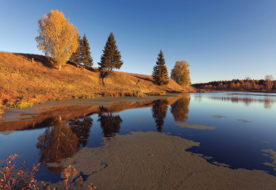 photo "***" tags: landscape, autumn, birches, evening, forest, grass, lake, reflections, елки, склон