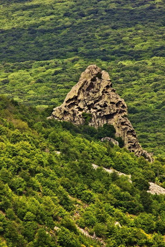 photo "***" tags: landscape, forest, rocks