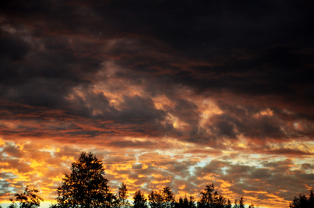 photo "***" tags: landscape, 