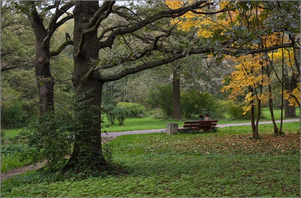 photo "***" tags: landscape, autumn