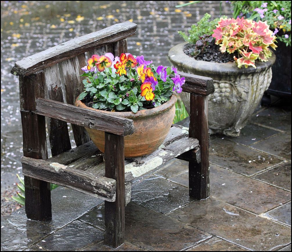 фото "***" метки: природа, фрагмент, разное, rainy day, цветы