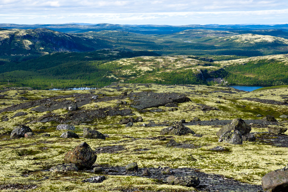 photo "***" tags: landscape, Kola Peninsula, stone, тундра