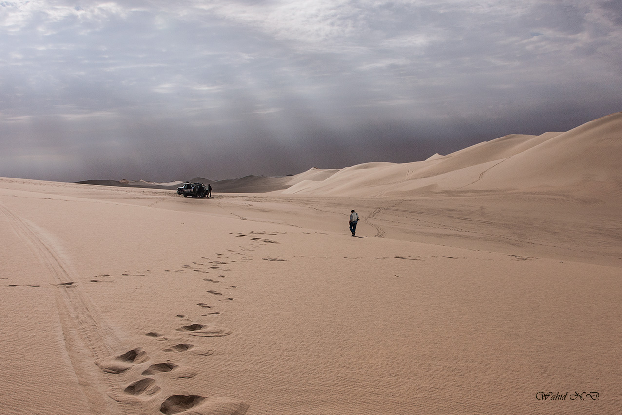 фото "Traces and Dunes" метки: пейзаж, Африка, пустыня