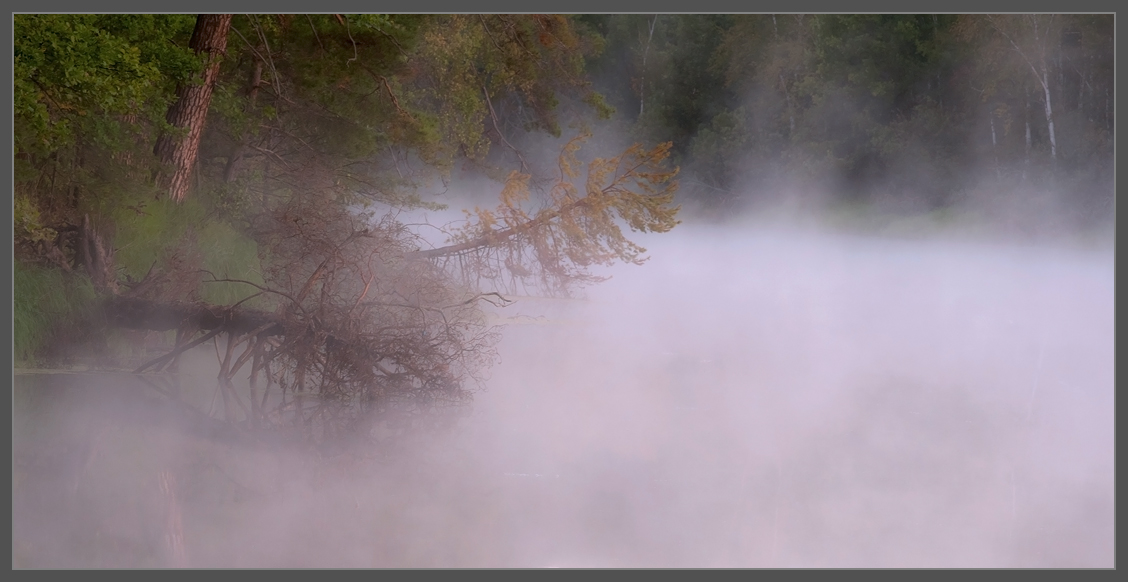 photo "***" tags: landscape, fog, forest, river, sunrise