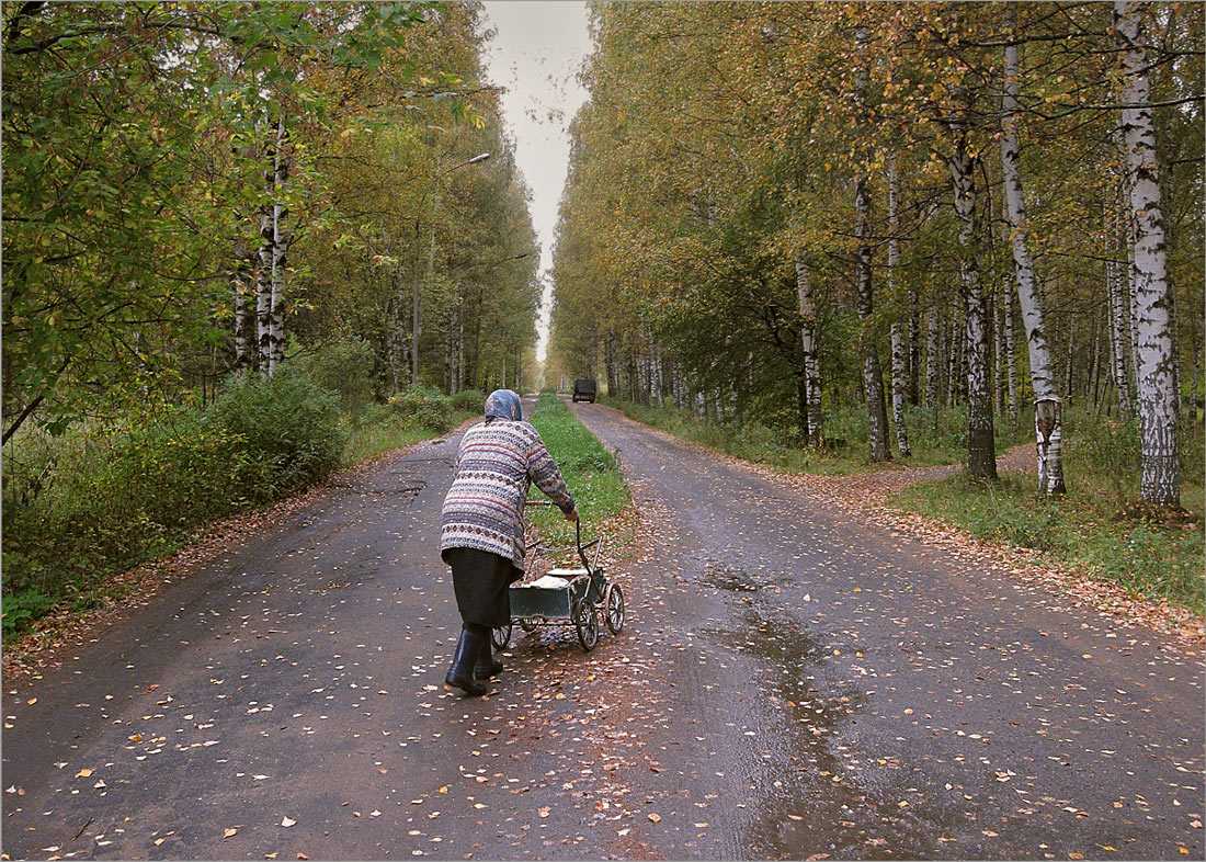 фото "Осенний путь" метки: пейзаж, жанр, дорога, лес, осень