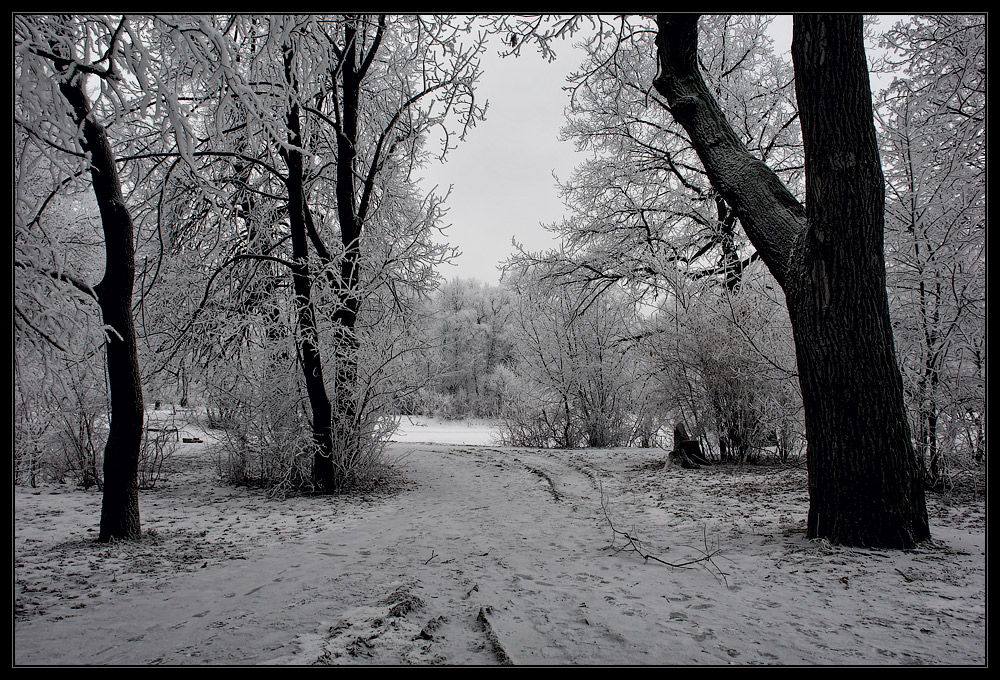 photo "***" tags: landscape, 