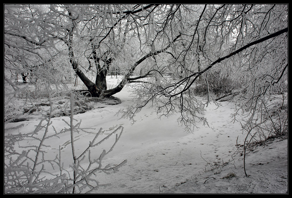photo "***" tags: landscape, 