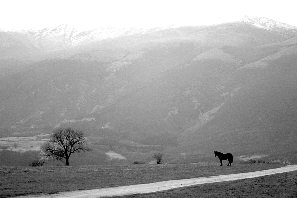 photo "***" tags: landscape, black&white, 