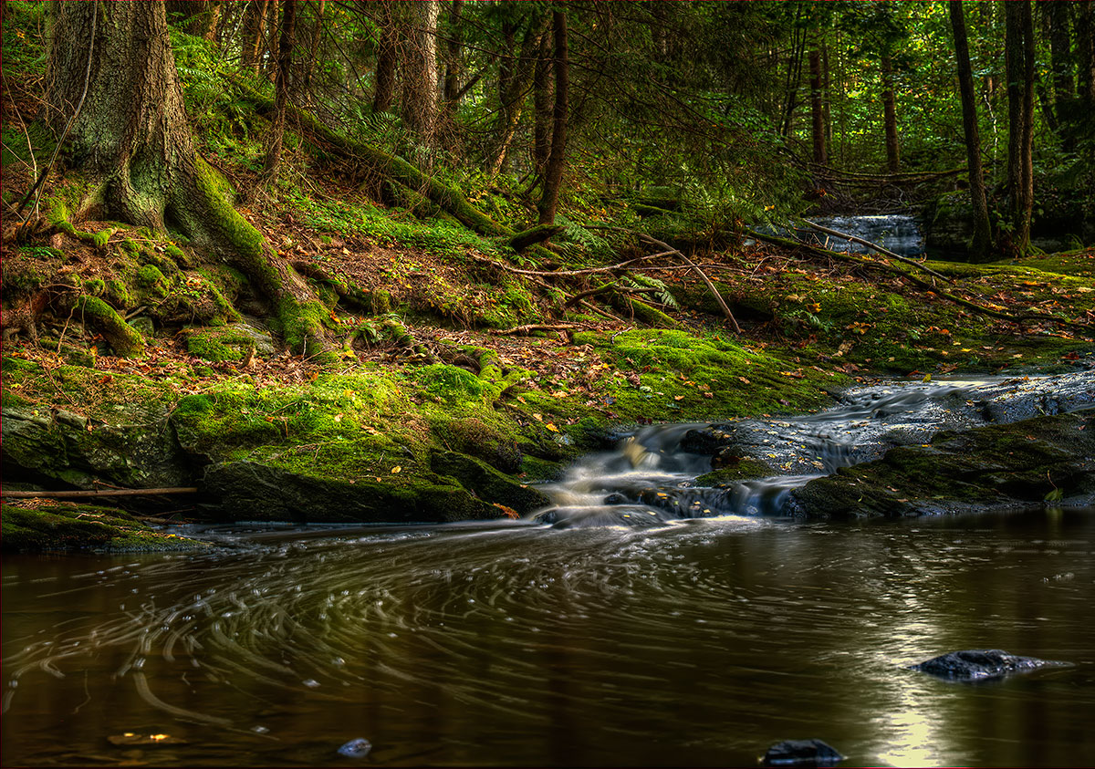 photo "The Creek" tags: landscape, 