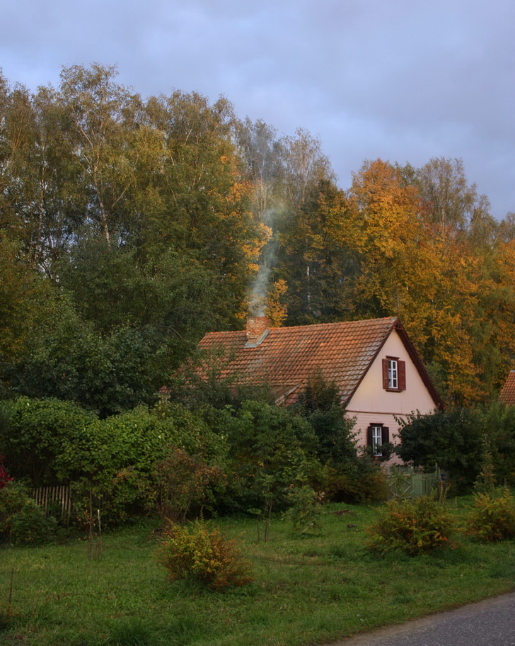 фото "***" метки: жанр, 