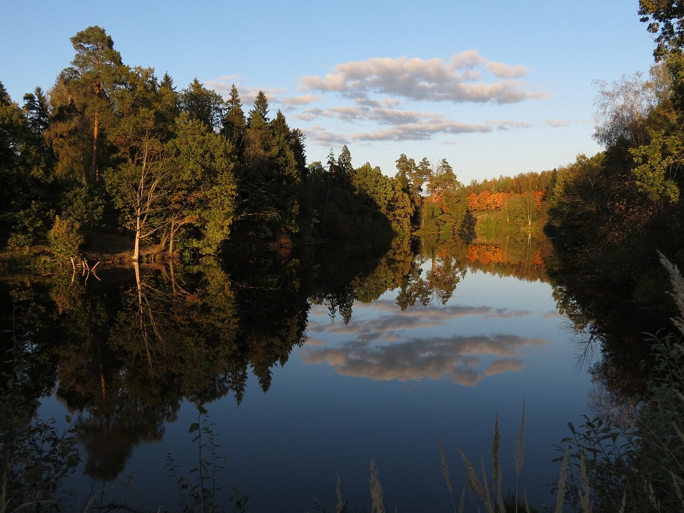 photo "About lumière naturelle" tags: landscape, autumn, water