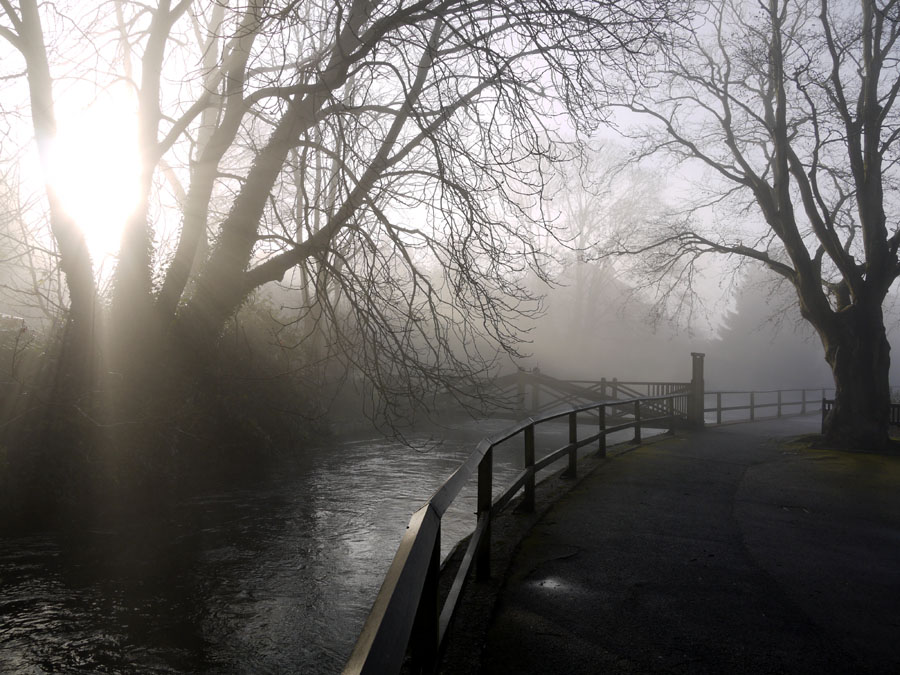 photo "Fog" tags: landscape, fog, winter