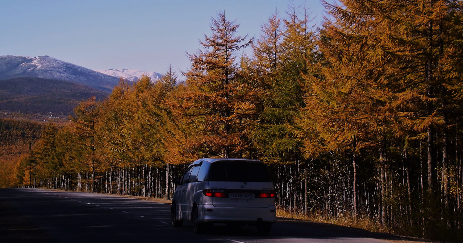 photo "***" tags: landscape, autumn, forest, sky, tree, сопки