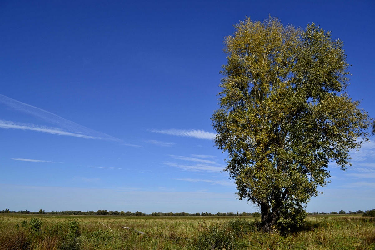 photo "***" tags: landscape, nature, 