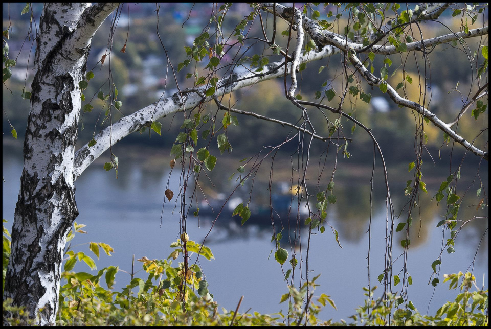 photo "***" tags: landscape, 
