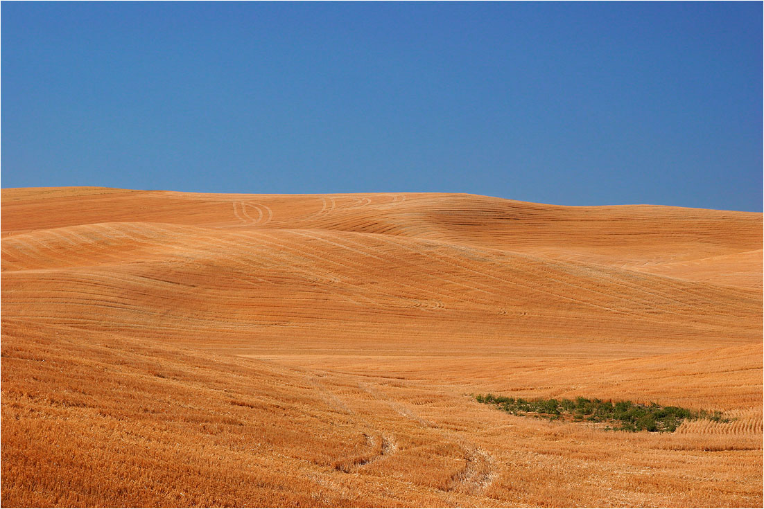 photo "***" tags: landscape, field