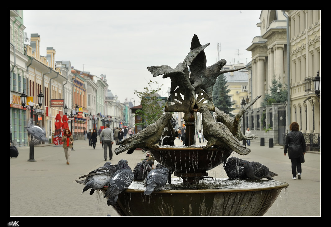 photo "***" tags: genre, nature, street, fountains, голуби, улицы города