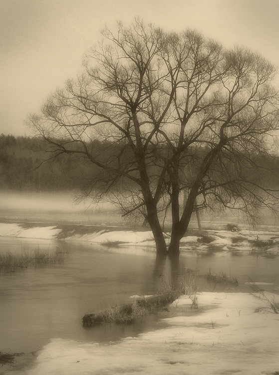 photo "***" tags: black&white, landscape, fragment, fog, forest, meadow, snow, spring, village, water