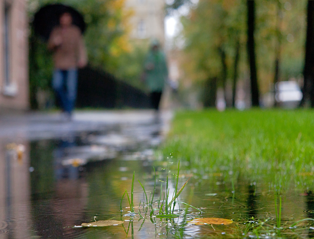 photo "Walking in autumn ..." tags: street, nature, 